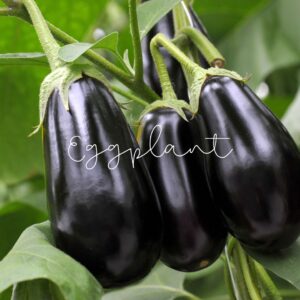 Eggplant is not just versatile in cooking but also packed with nutrients that support healthy vision.