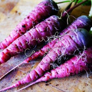 Purple carrots are a nutrient-packed twist on the classic orange variety.