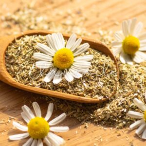 Chamomile is more than just a calming tea; it’s a powerful herbal remedy for neuropathy.