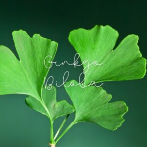 Ginkgo Biloba is famous for its ability to boost blood flow, which is critical for nerve repair.