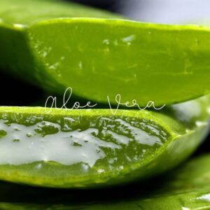 Aloe vera is a soothing remedy for skin and digestive health.