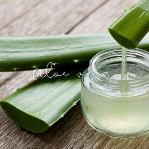 Aloe vera is known for its soothing and anti-inflammatory properties.