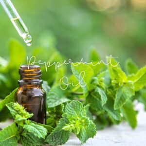 Peppermint oil is a versatile essential oil that offers pain relief and mental clarity.