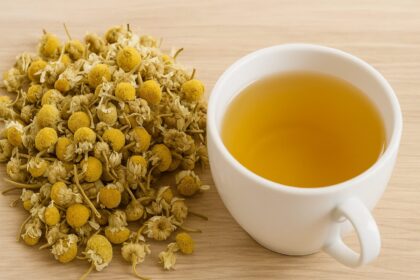 A warm cup of chamomile tea with dried flowers—natural remedy for sleep and digestion.